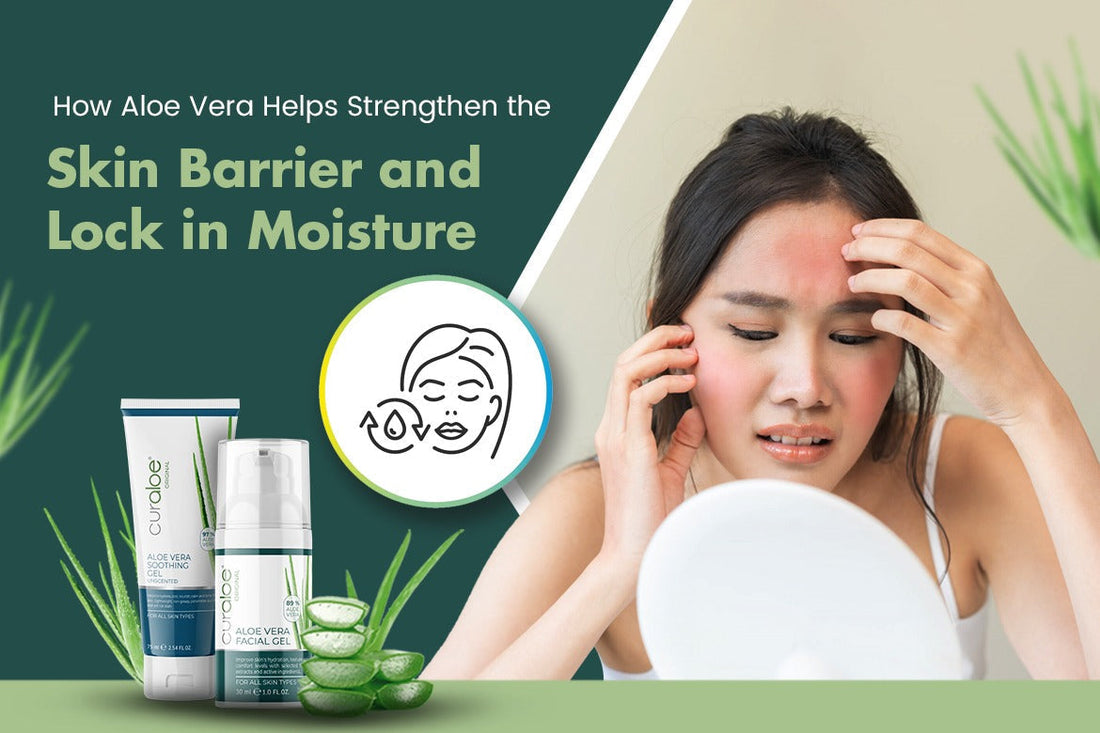 How Aloe Vera Helps Strengthen the Skin Barrier and Lock in Moisture 