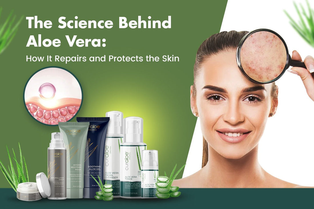 The Science Behind Aloe Vera How It Repairs and Protects the Skin