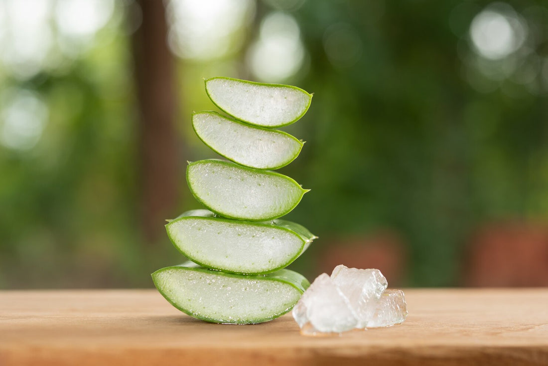 Why Aloe Vera is a Must-Have for Oily and Acne-Prone Skin